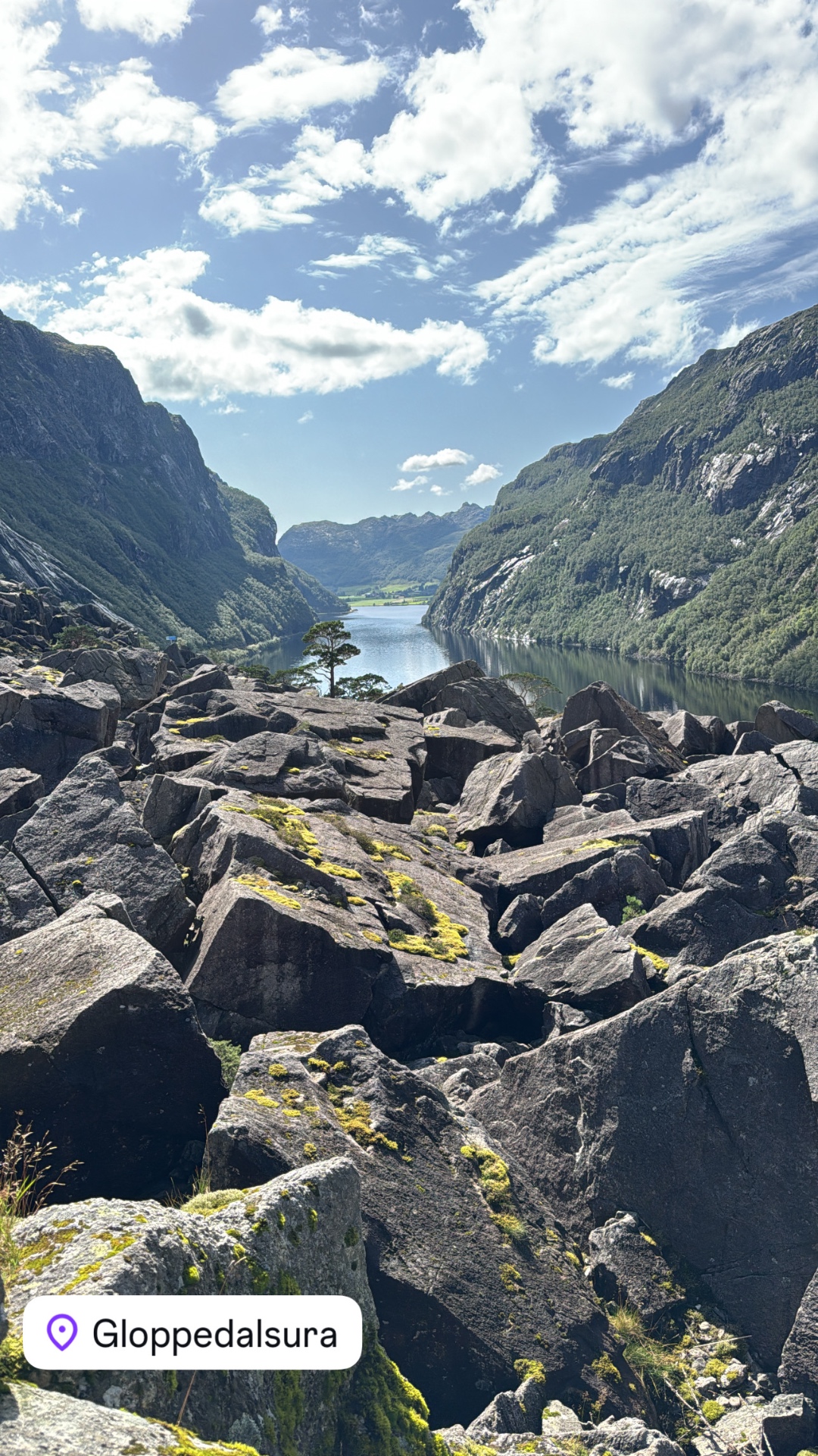 Viking Odysseys — 6